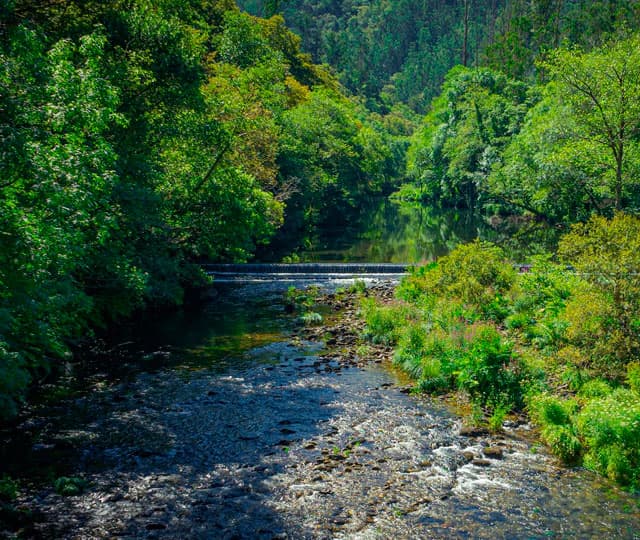 Todo lo que puede visitar en Fene